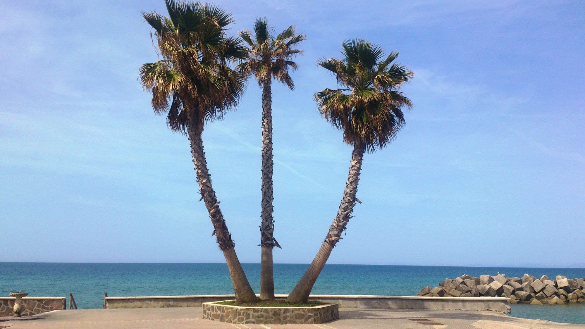 Castellabate At The Sea Hotel San Marco di Castellabate Екстериор снимка